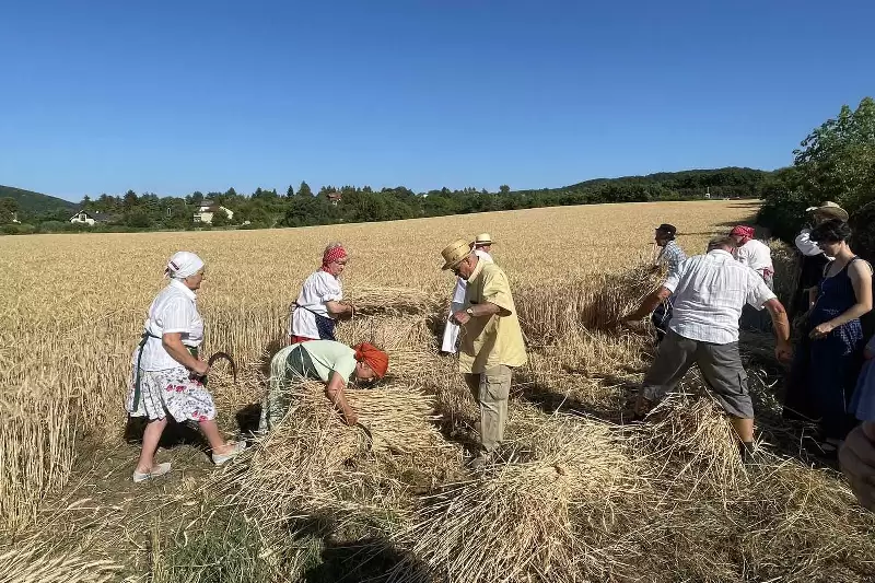 Idén is megtartották az aratóünnepet