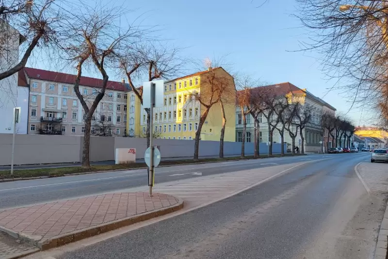 Metszik az ostorfákat a Kossuth L. utcában
