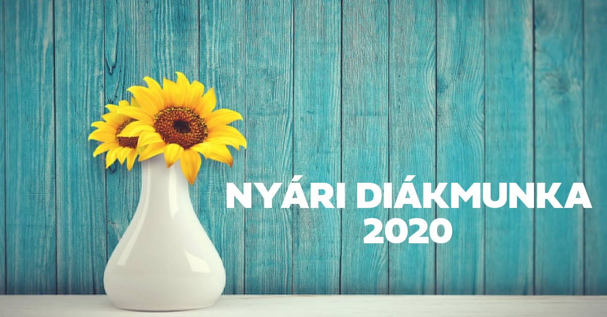 Nyári diákmunka 2020 program